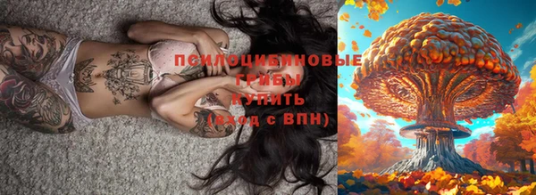 винт Снежногорск