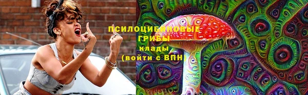стаф Слюдянка