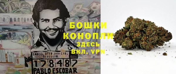 СК Абинск