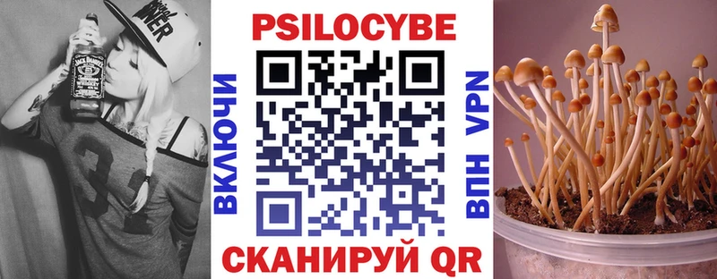 Галлюциногенные грибы Psilocybine cubensis  Кингисепп 