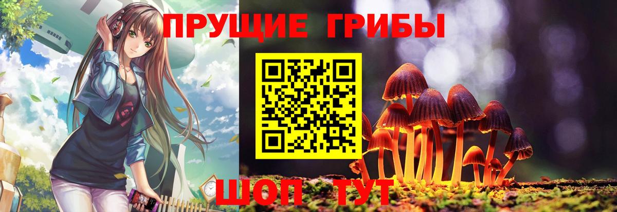 Кингисепп  Псилоцибиновые грибы мицелий  Вход с VPN  Галлюциногенные грибы прущие грибы 